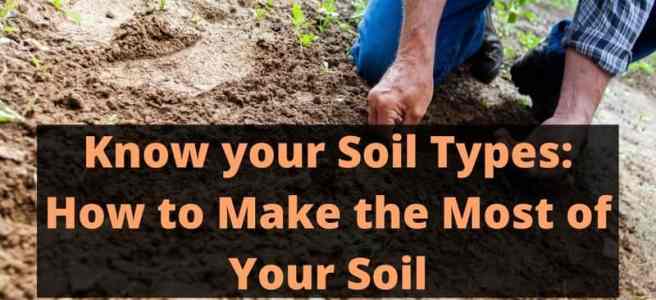 How to Make the Most of Your Soil